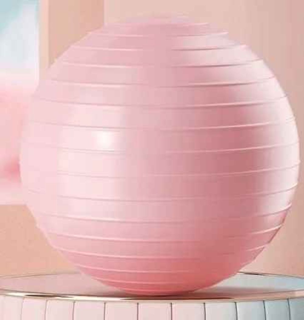 swiss ball aria 55 cm variable rose