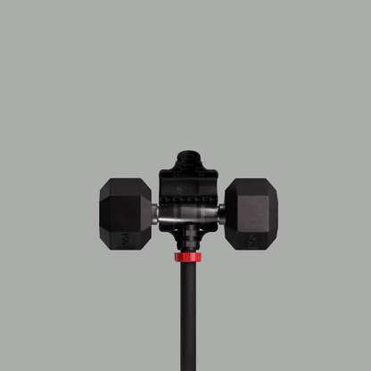 Soiflex -  Curl Bar